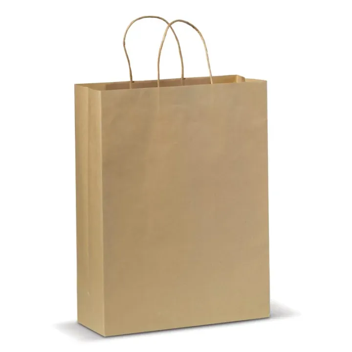 Kraft bag large 120g/m² - LT91718 (N0052)